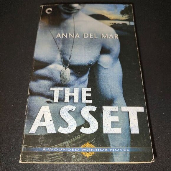 The Asset (A Wounded Warrior Novel) - Mass Market Paperback - GOOD - Picture 1 of 6